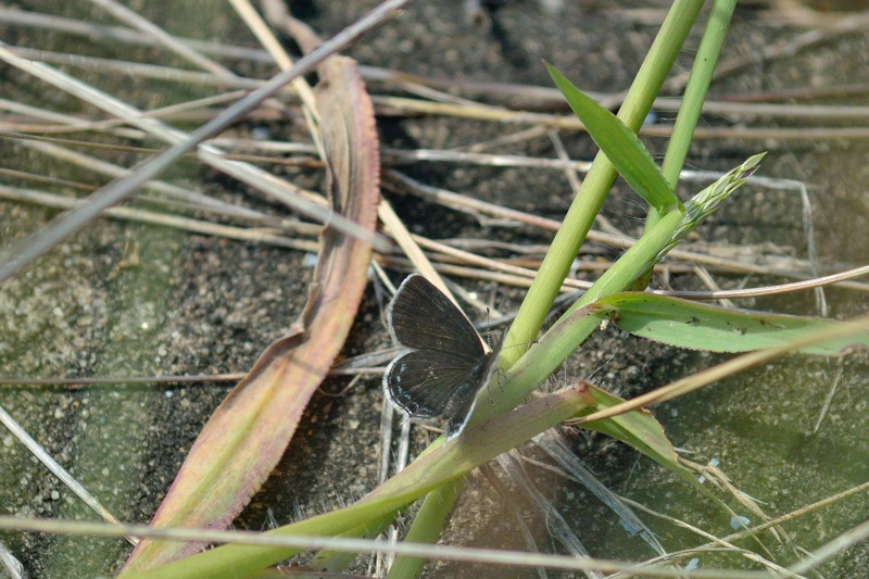 f0031682_07304975.jpg