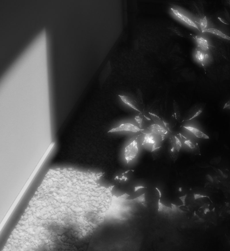 c0229384_201454.jpg