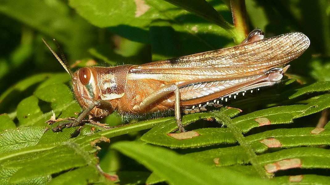 f0346184_18274884.jpg