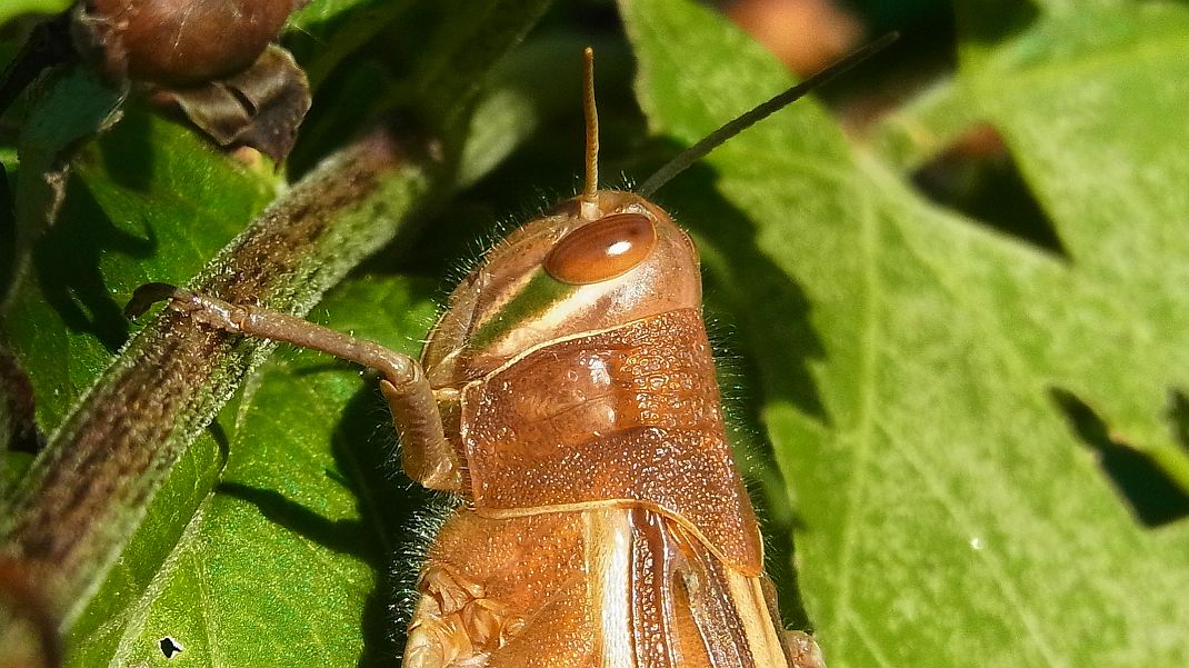 f0346184_1828888.jpg