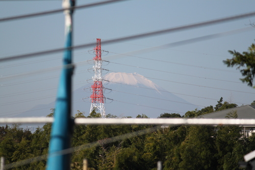 d0268785_921264.jpg