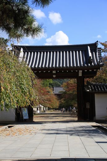 京都旅行　　3日目　　10/26　　醍醐寺_c0212987_1865189.jpg