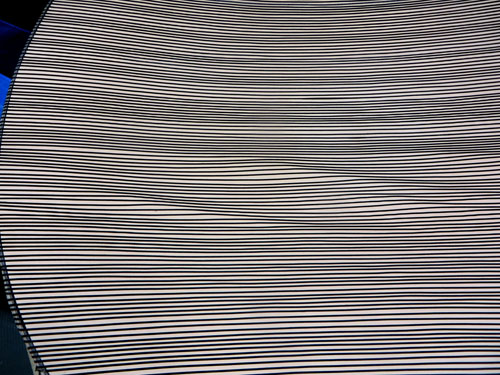 d0085887_4472351.jpg
