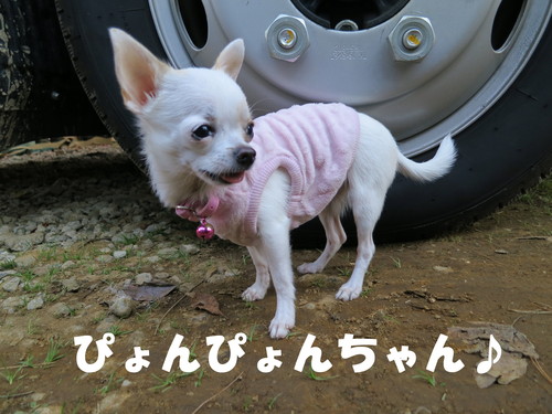 販売量も仕入れ量も半端じゃない！_b0200291_2203050.jpg