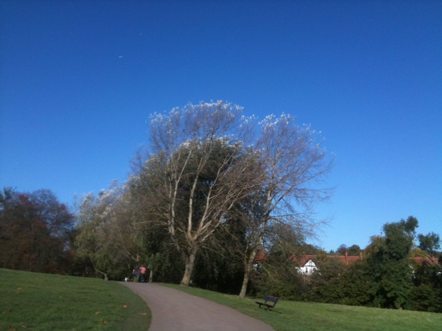 e0150991_17780.jpg