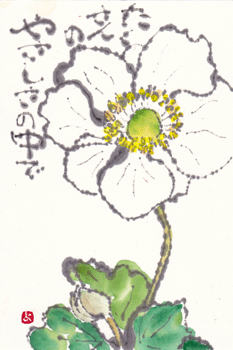 a0030594_2331713.gif