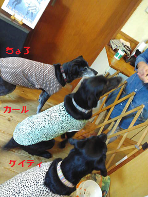 d0282395_19592637.png