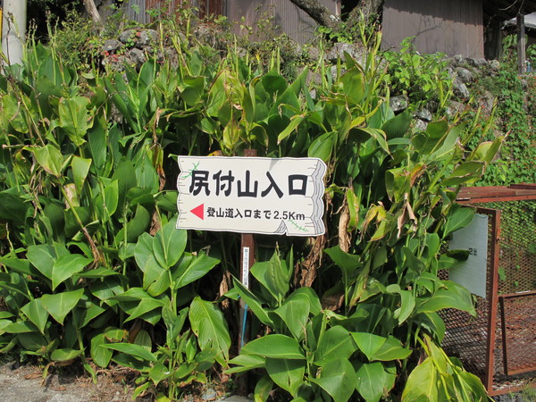 a0166196_213672.jpg