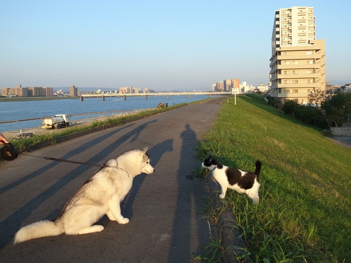 c0049299_2216558.jpg