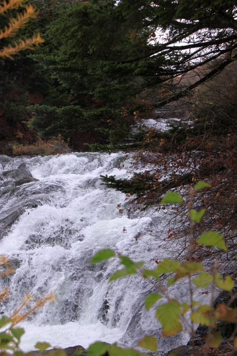d0248502_17513897.jpg