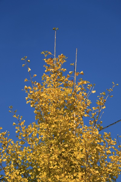 a0123003_14212897.jpg