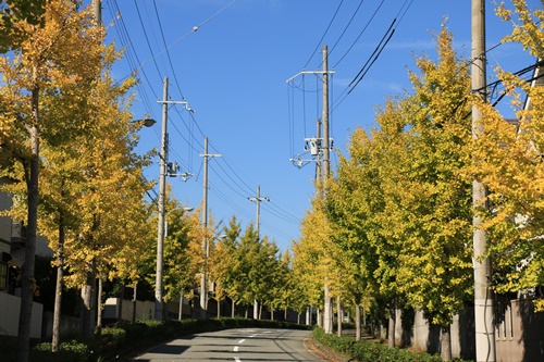 a0123003_14215294.jpg