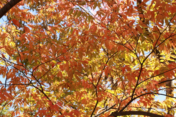 a0123003_1443180.jpg