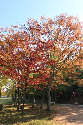 a0123003_1444267.jpg