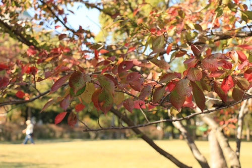 a0123003_14542834.jpg