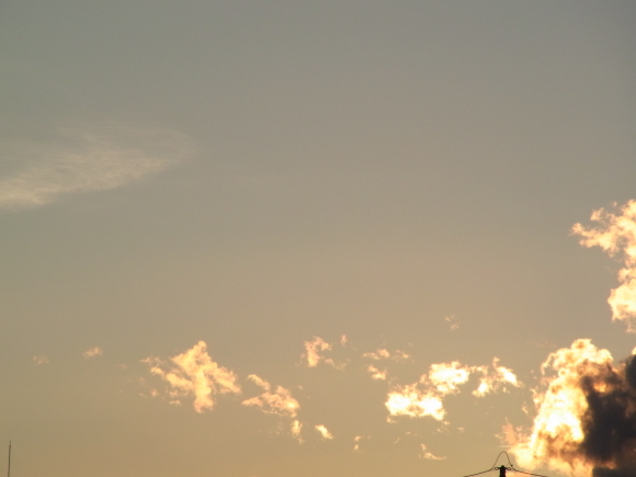 c0006904_15511585.jpg