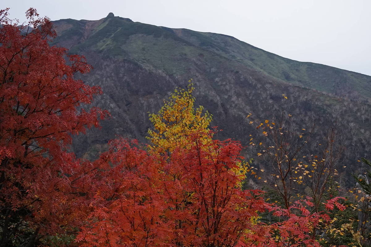 2014秋の北海道旅行 19_f0203707_928367.jpg