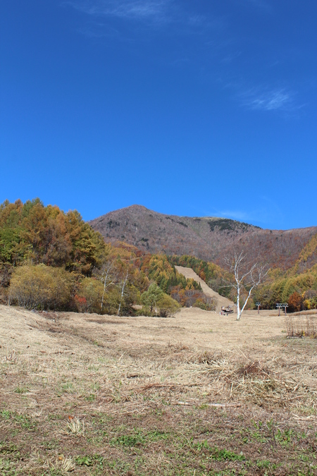 a0315813_954937.jpg