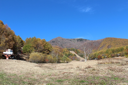 a0315813_95661.jpg