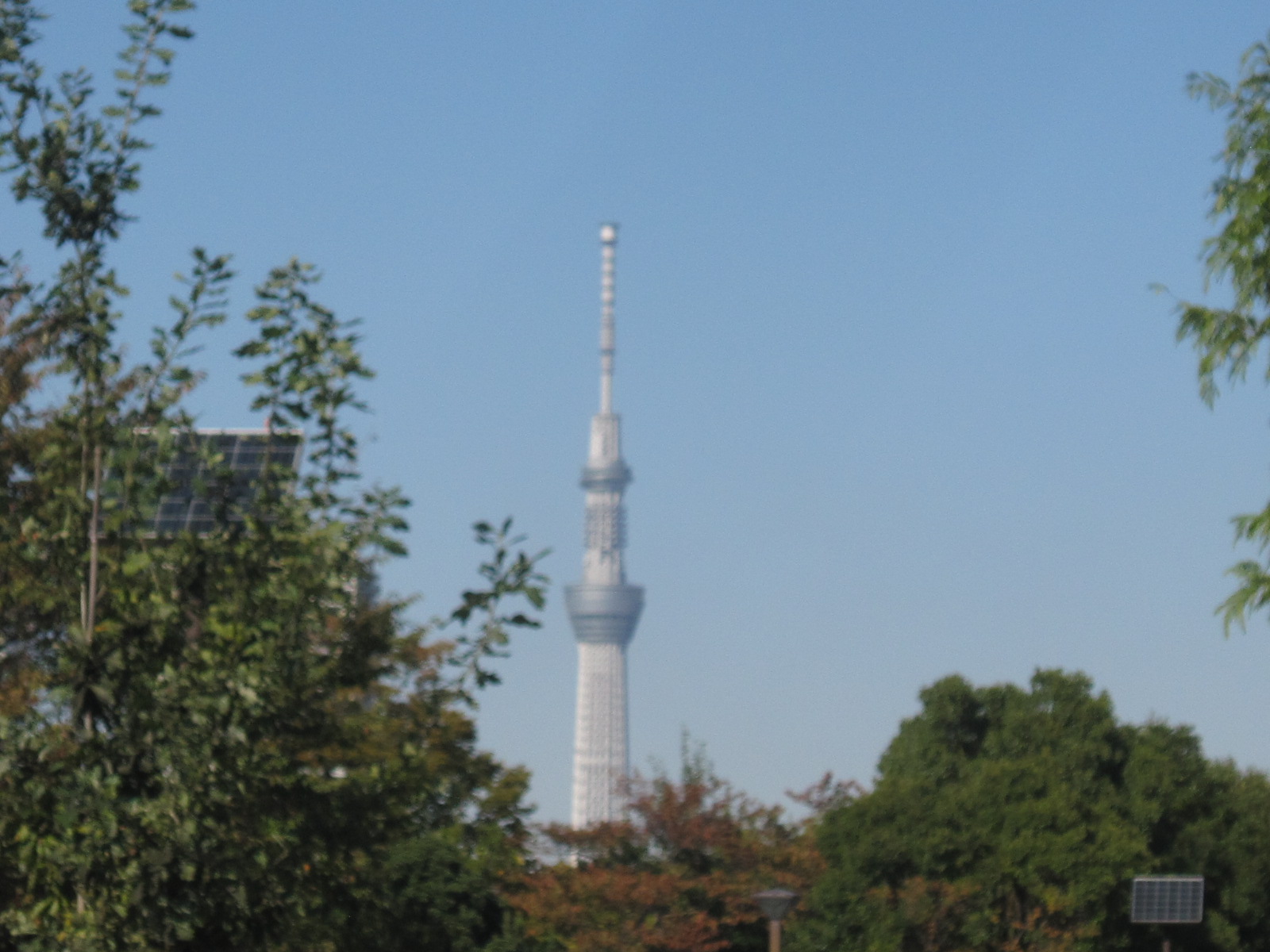 d0162225_10365625.jpg