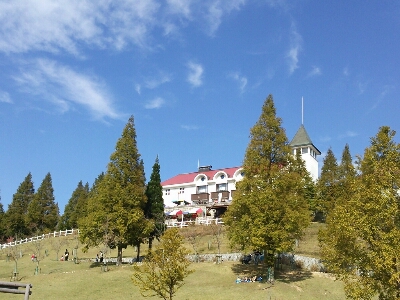 b0080027_12303266.jpg