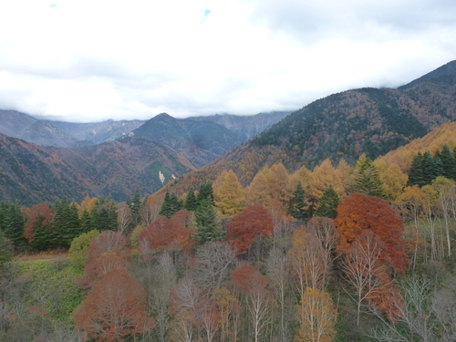 a0053036_21272744.jpg