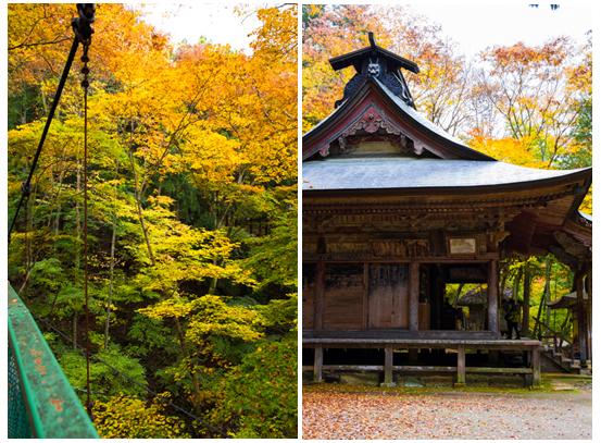 秋旅　紅葉の長野へ　鹿教湯温泉_b0098139_15165791.jpg