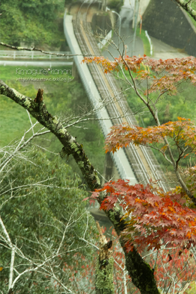 赤い公園は　赤く染まったか？_b0197639_10205094.jpg