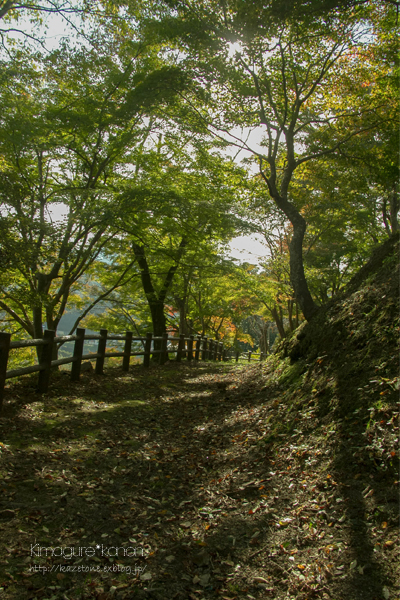 赤い公園は　赤く染まったか？_b0197639_1021538.jpg