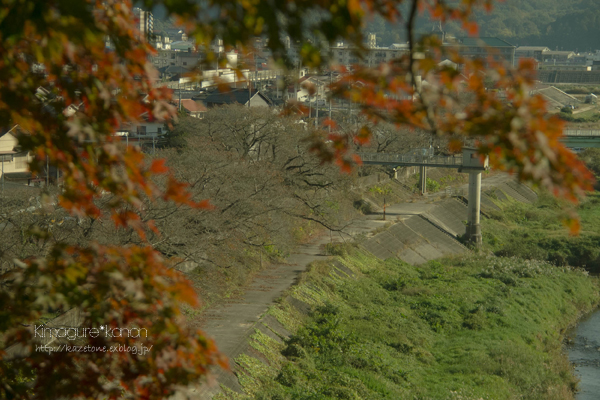 赤い公園は　赤く染まったか？_b0197639_10225539.jpg