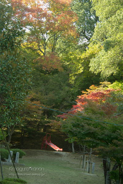 赤い公園は　赤く染まったか？_b0197639_10253729.jpg