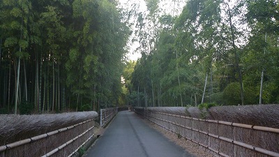 b0323439_22363768.jpg