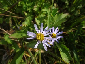e0110940_23212075.jpg