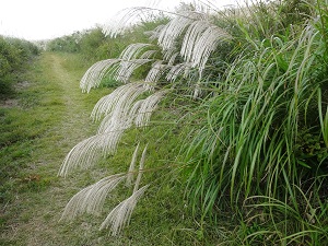 e0110940_23222092.jpg