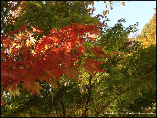 国宝白水阿弥陀堂の紅葉 [平成26年10月30日（木）更新]_f0105342_16292421.jpg