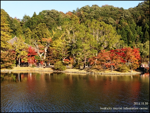 国宝白水阿弥陀堂の紅葉 [平成26年10月30日（木）更新]_f0105342_16293364.jpg