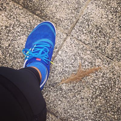 皇居マラソンに向けて10kmラン_c0060143_0292669.jpg