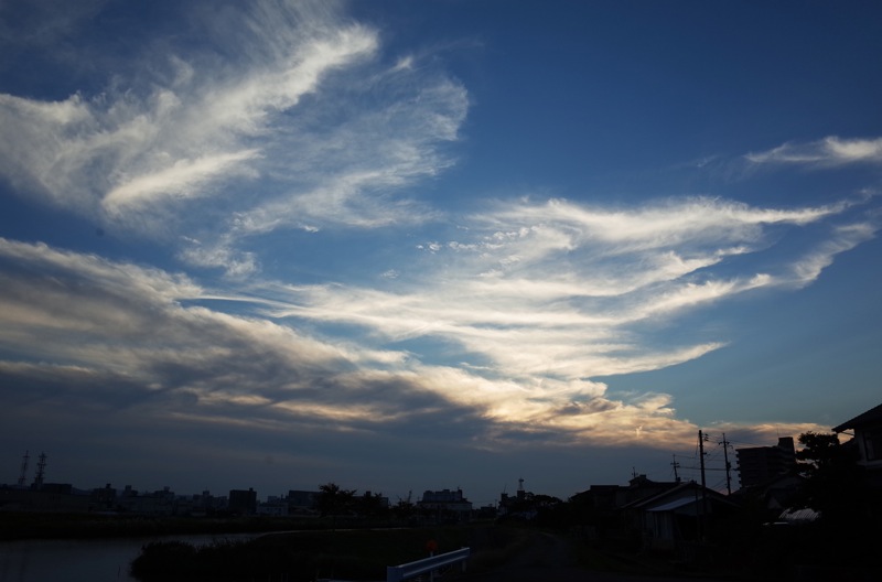 f0169147_64881.jpg