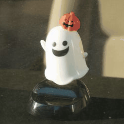 c0335355_20193578.gif