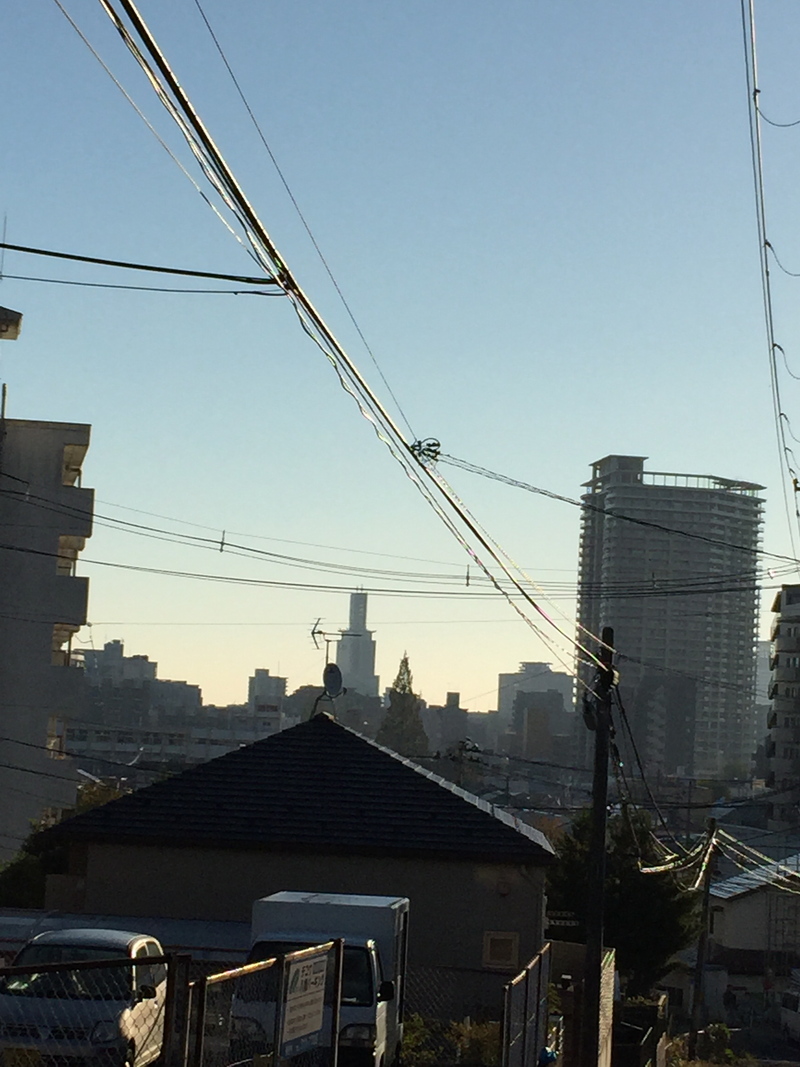 上室期外収縮は心房細動の予測因子:EHJ誌_a0119856_2337678.jpg
