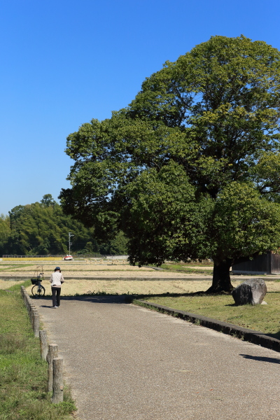 c0272958_2358816.jpg
