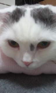 f0200871_0282525.jpg