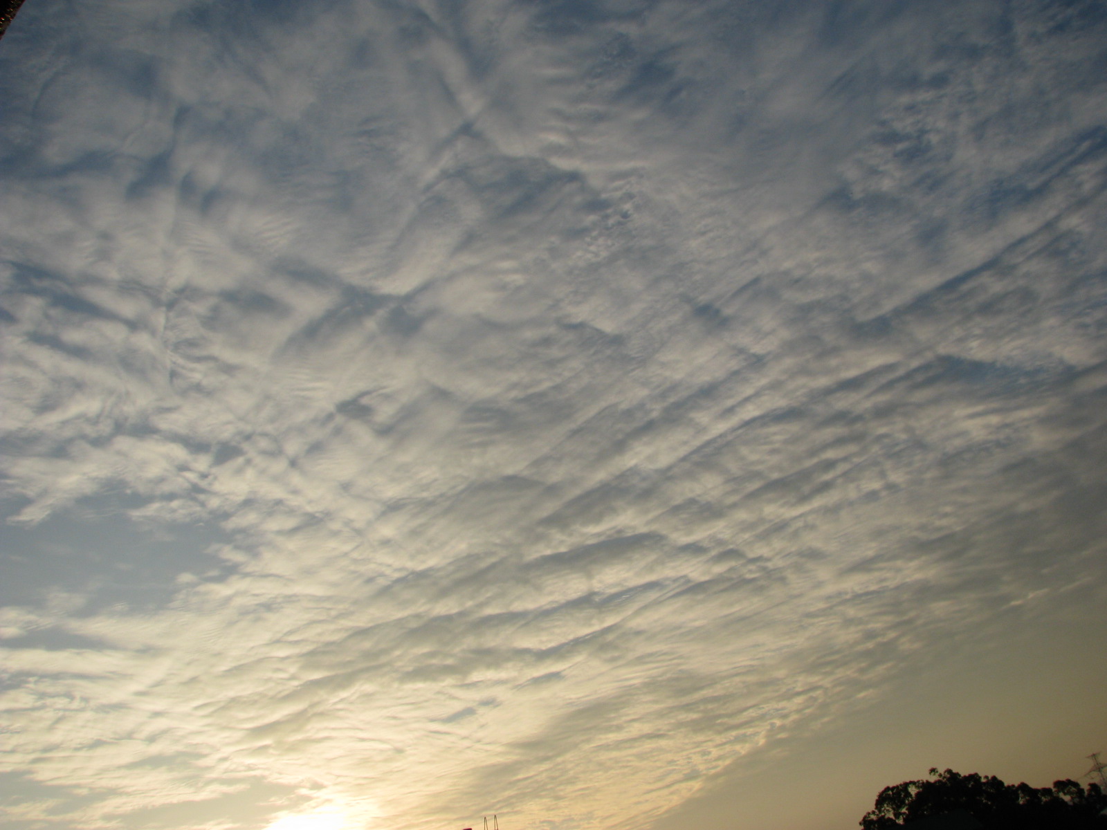 b0161073_1730425.jpg