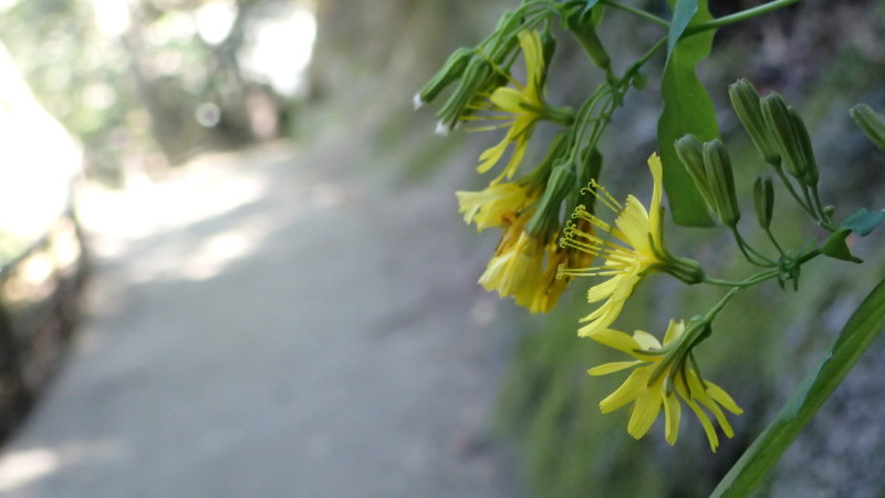 e0024081_17180908.jpg