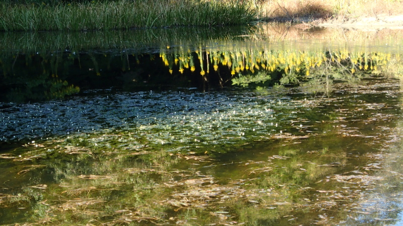 e0024081_17292254.jpg