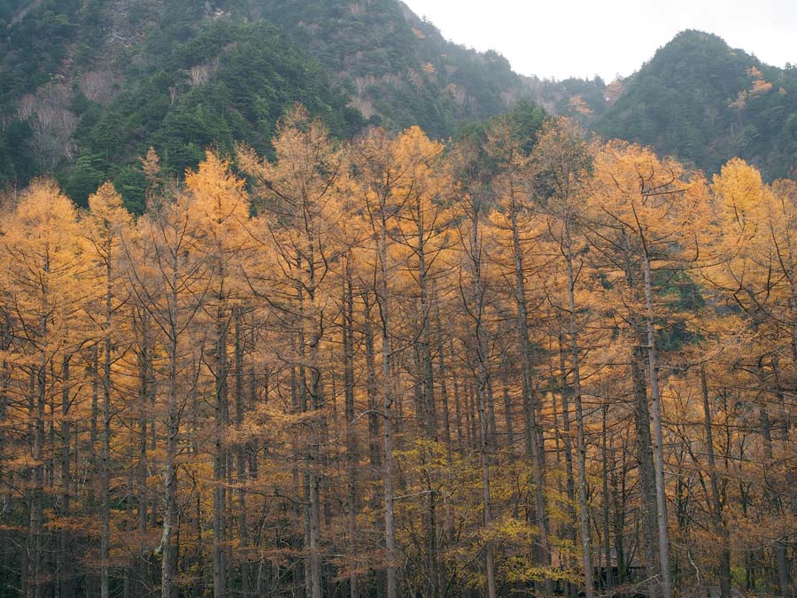 e0243382_891080.jpg