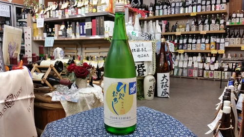 日本酒「井の頭 純米 ひやおろし」 吉祥寺の酒屋より_f0205182_20444536.jpg
