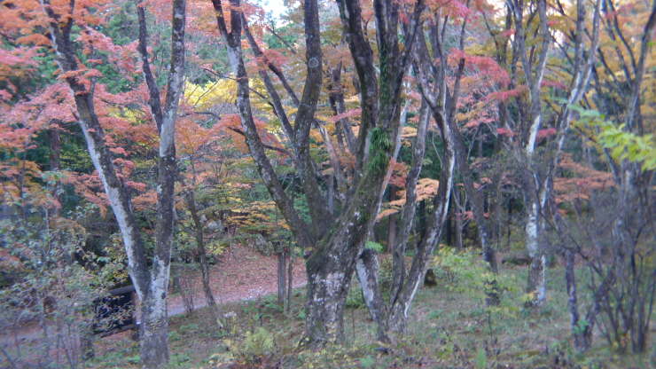 c0212083_21150793.jpg