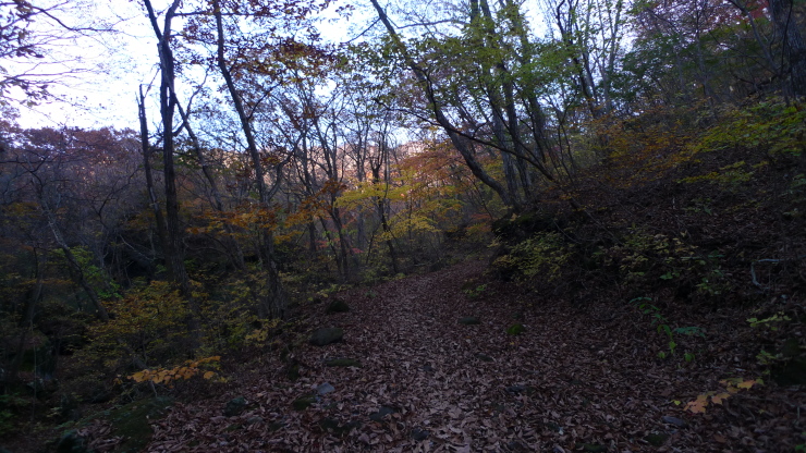 c0212083_21152085.jpg