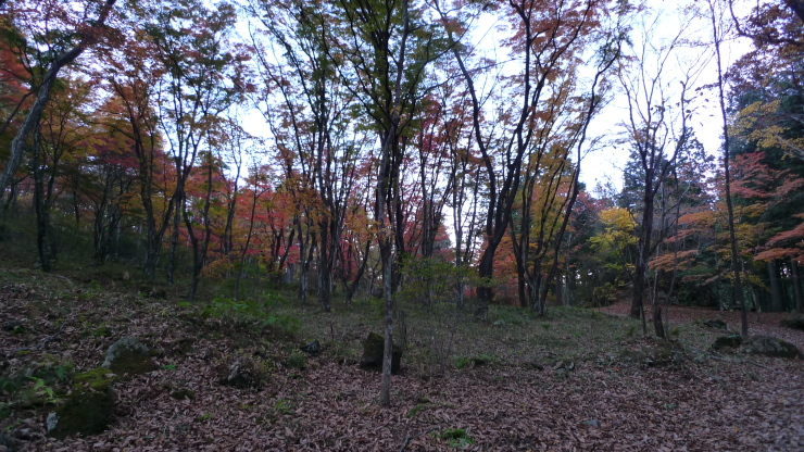 c0212083_21153569.jpg